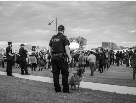 警察犬【クレバ号】兵庫県警