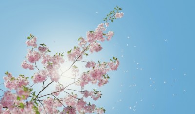 【自他共栄】好きな言葉