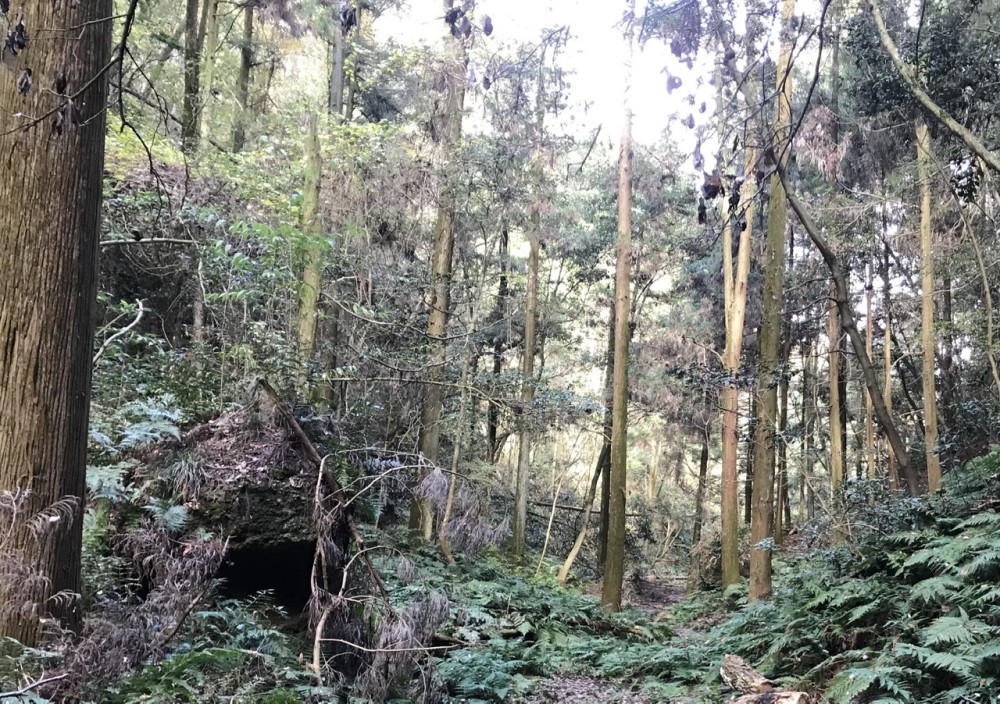 歯医者の考える「縄文人の抜歯の理由」