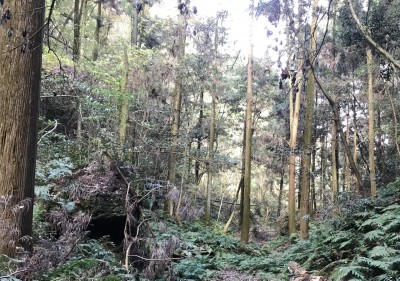 歯医者の考える「縄文人の抜歯の理由」