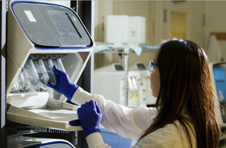 歯医者の考える「縄文人の抜歯の理由」