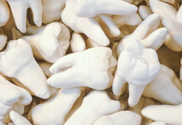 歯医者の考える「縄文人の抜歯の理由」