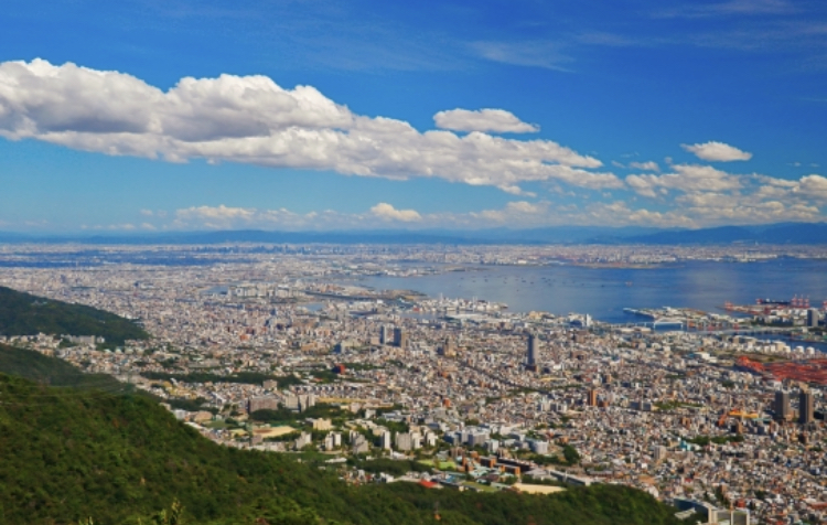 歯医者の考える「縄文人の抜歯の理由」