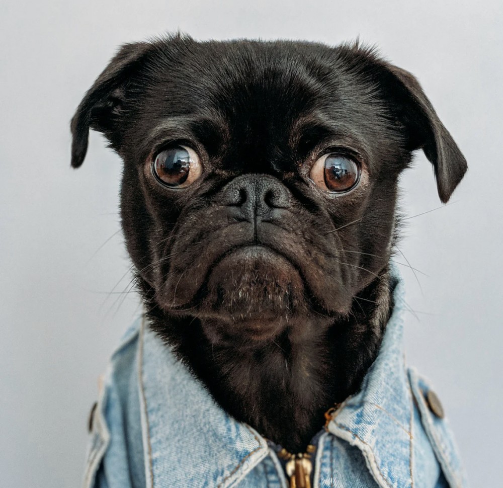 【頭痛 ロキソニン 注意】