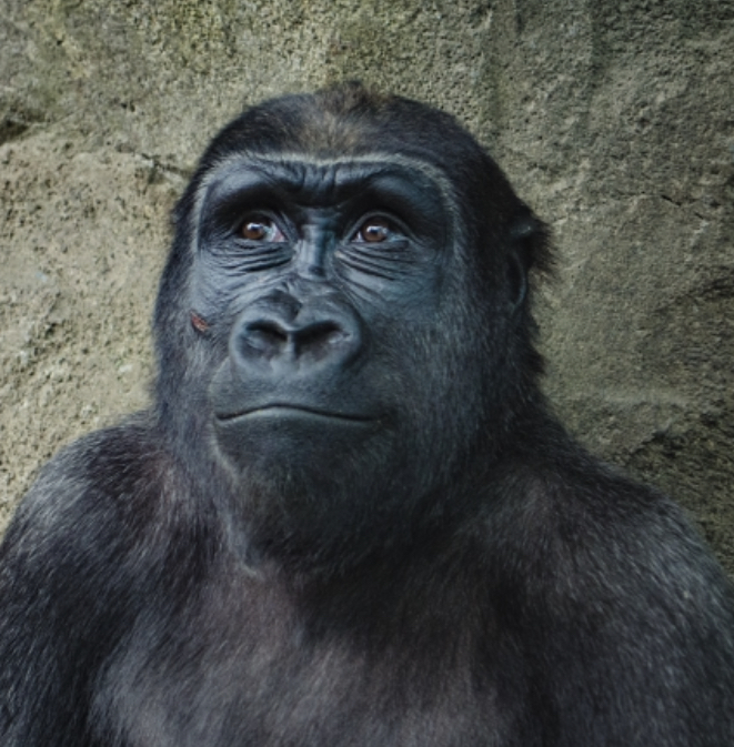 【頭痛 ロキソニン 注意】