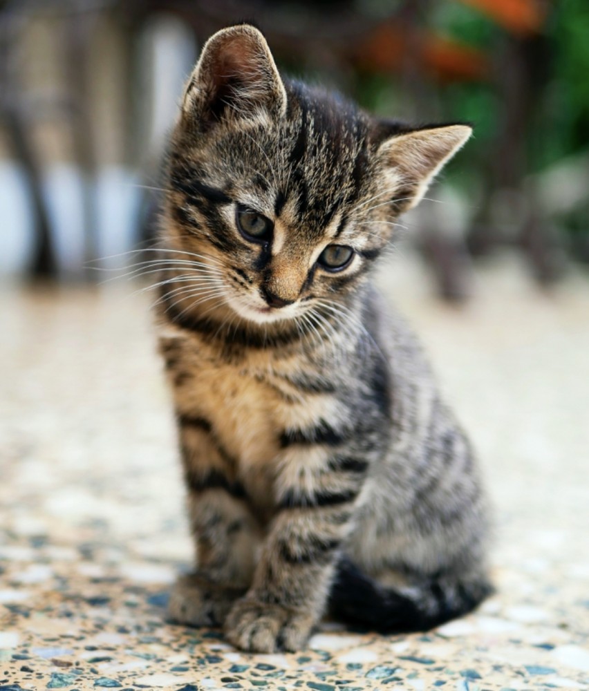 【頭痛 ロキソニン 注意】