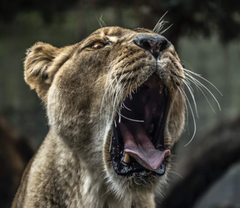 【口腔乾燥症】