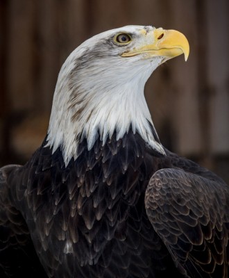 【心掛けは今日からできる】