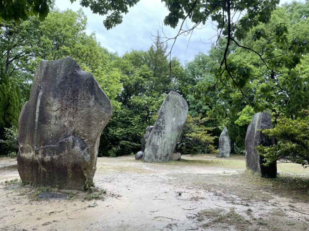 謎の石【旋帯文石(せんたいもんせき)】