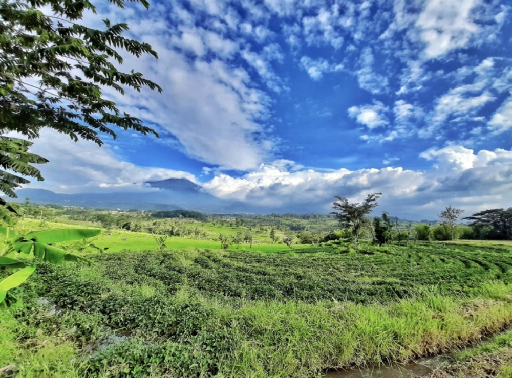 メソポタミア文明と黄河文明