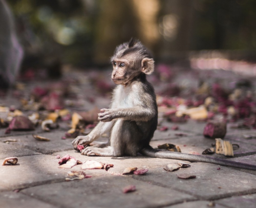 【歯医者が嫌いです】