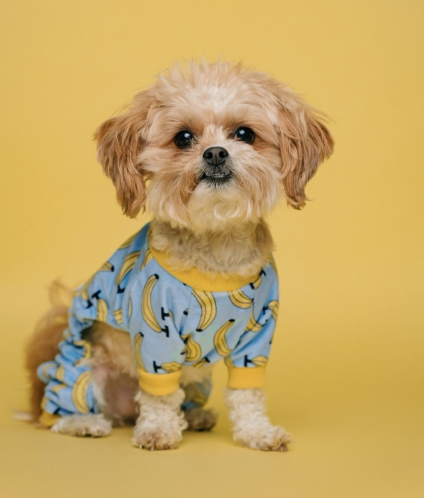 すごい人紹介①「伊藤順康さん」