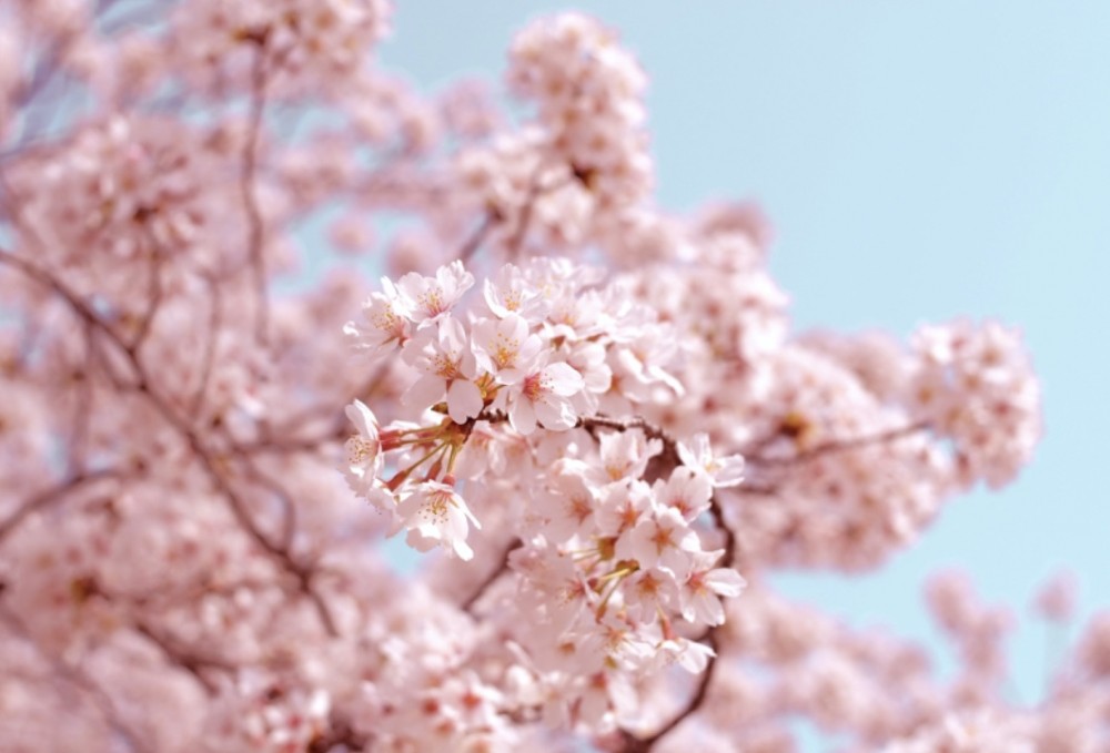 すごい人紹介②「流王雄太先生」