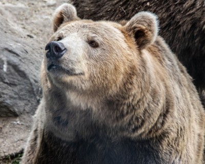 「当たり前」と「有難い」