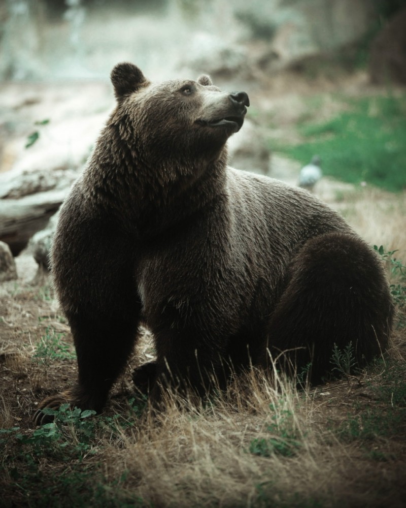 「当たり前」と「有難い」