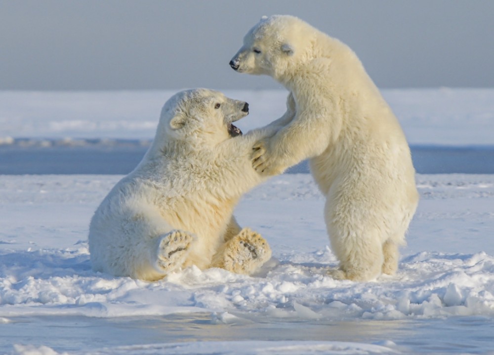 「当たり前」と「有難い」