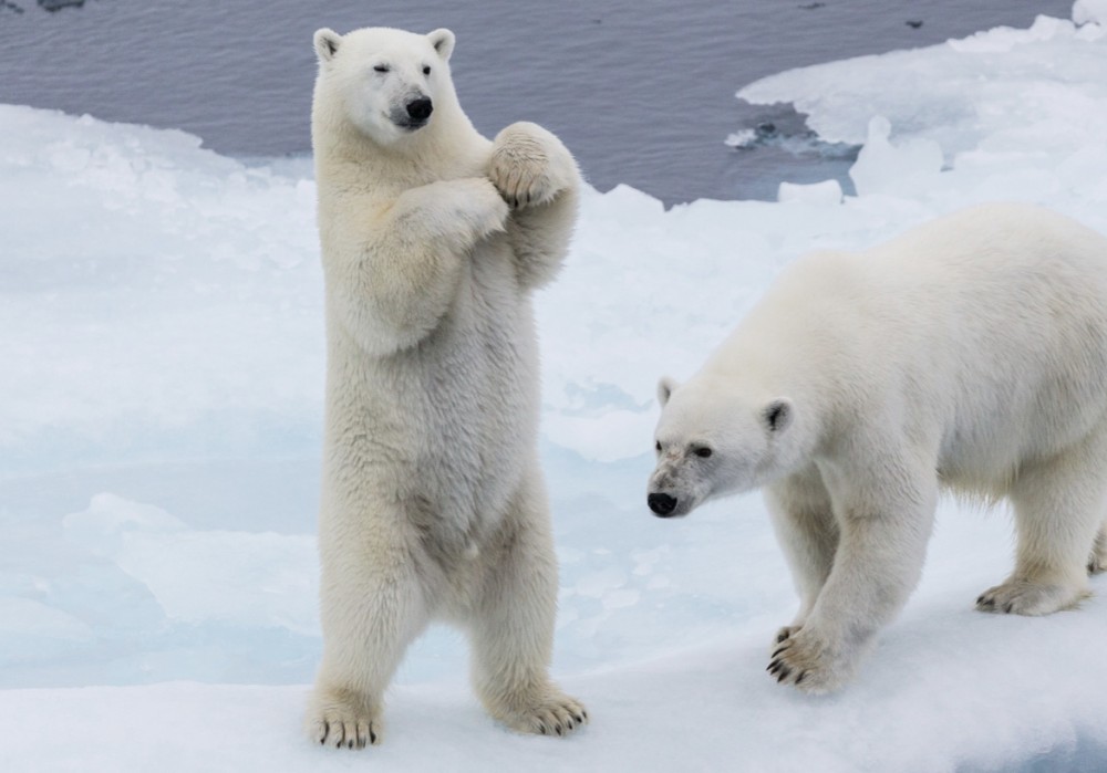 「当たり前」と「有難い」