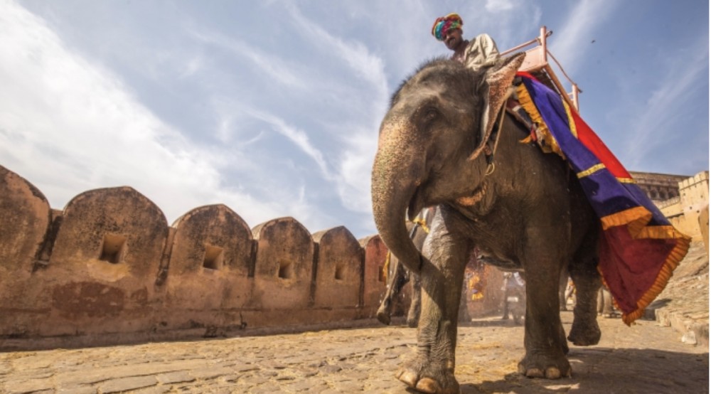 「南無(なむ)」って何？