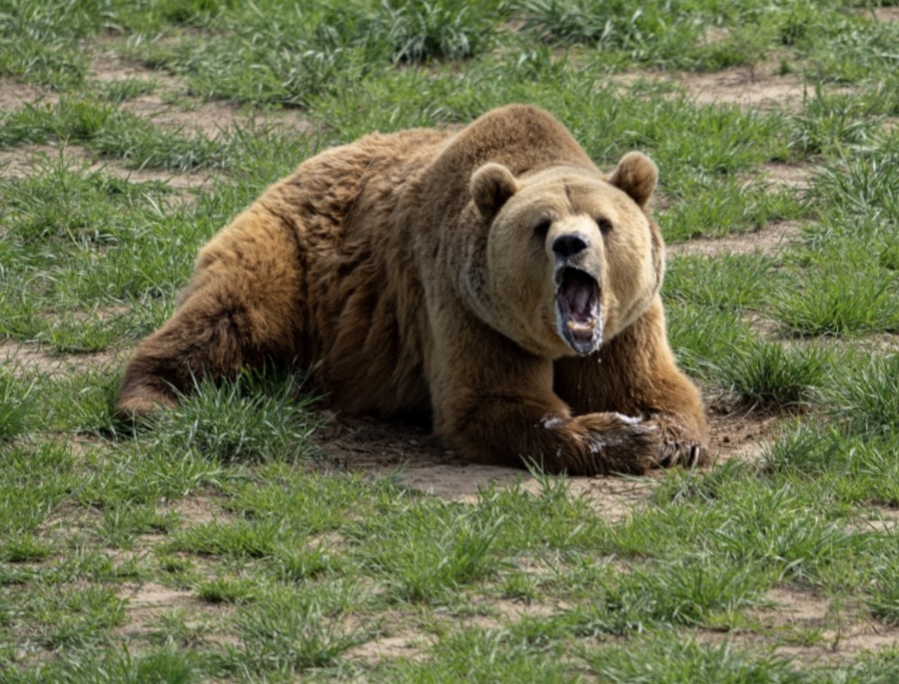あいさつは大切