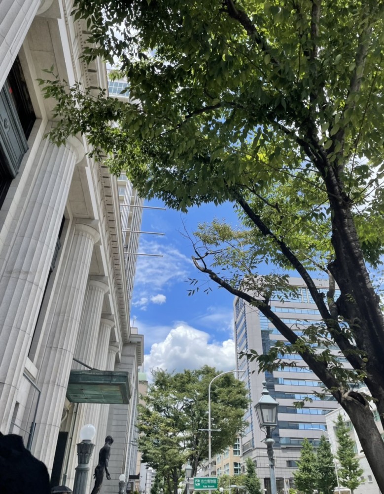 梅雨が明けました