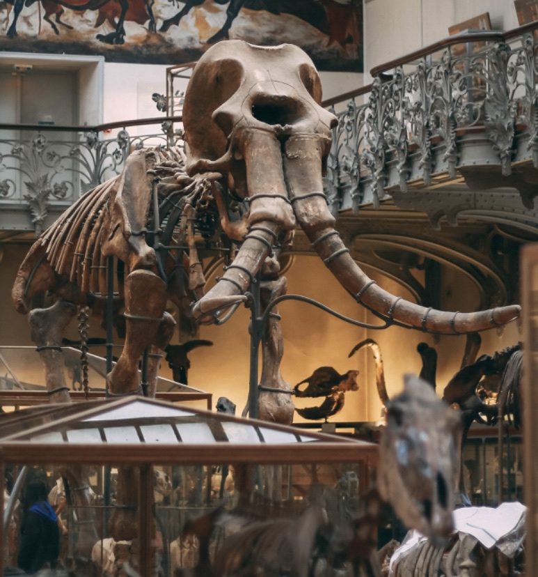 【日本人の起源】新・二重構造モデル