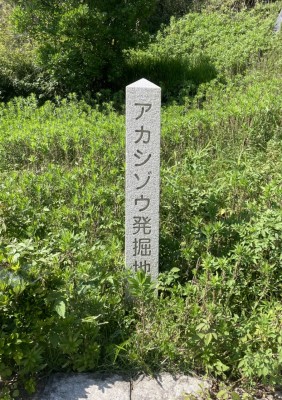 【アカシゾウ発掘地】行ってきました
