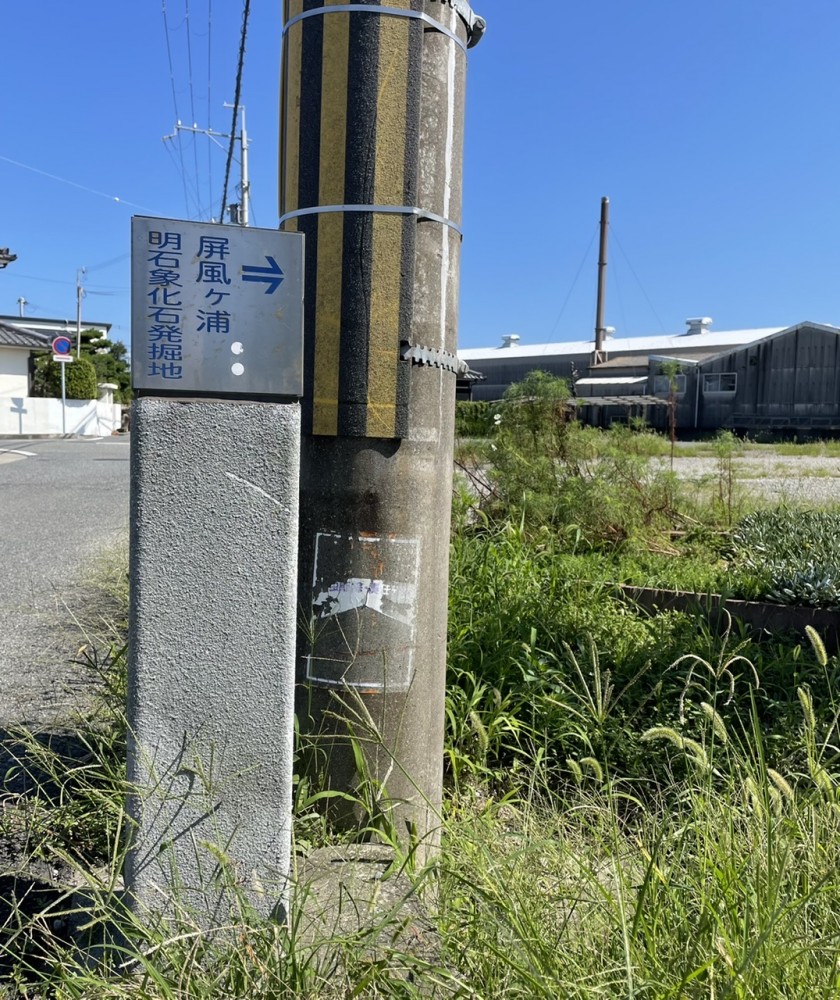 【アカシゾウ発掘地】行ってきました