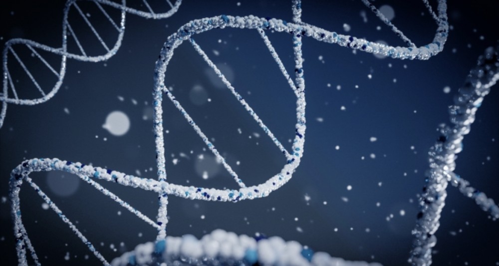 【日本語の謎】