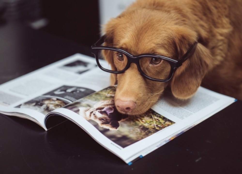 【上顎洞炎(じょうがくどうえん)って何？】