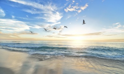 歴史の謎【裸国、黒歯国】