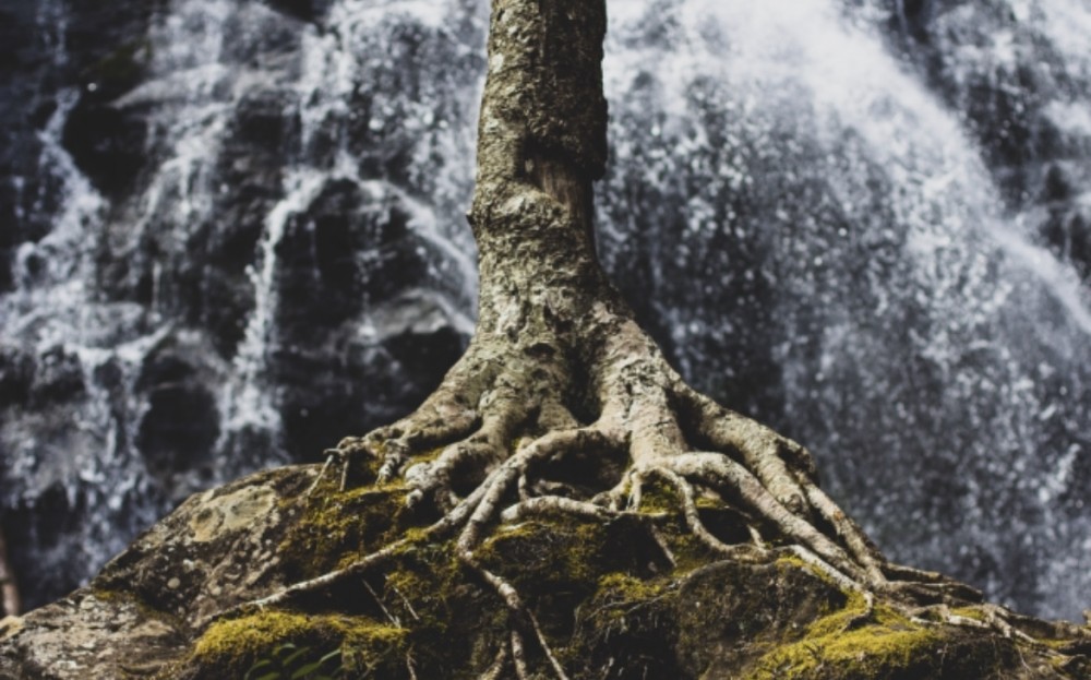 日本語の謎「やね」