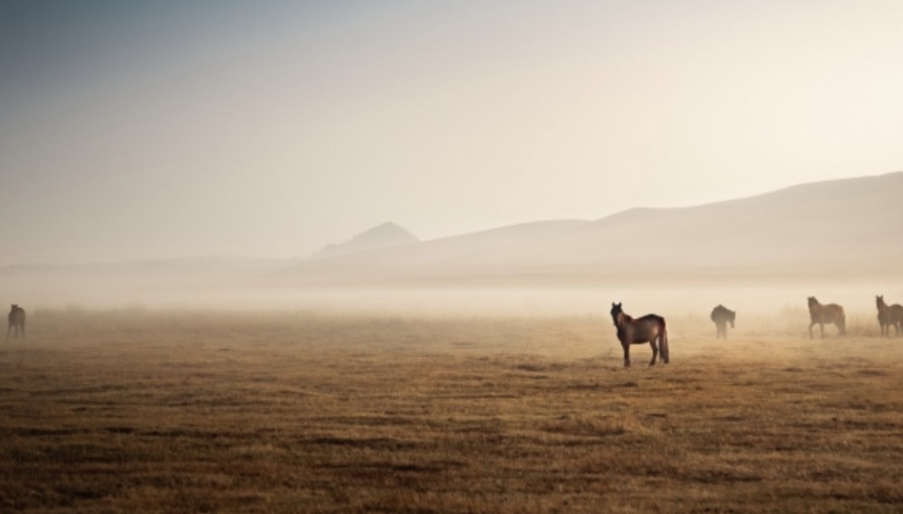 神話考察【ツクヨミとスサノオ　同一？】