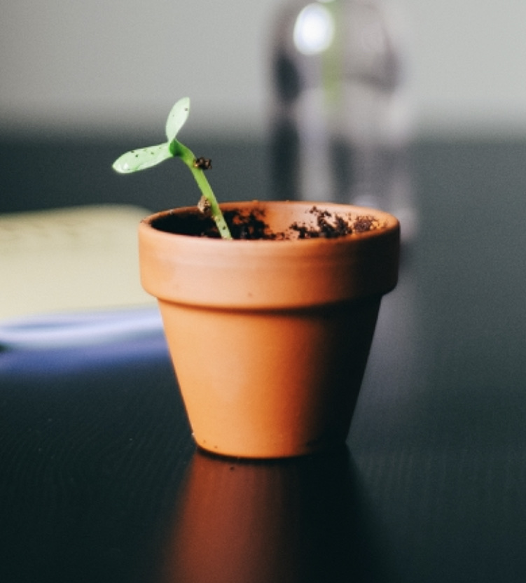 【お子様への話し方】