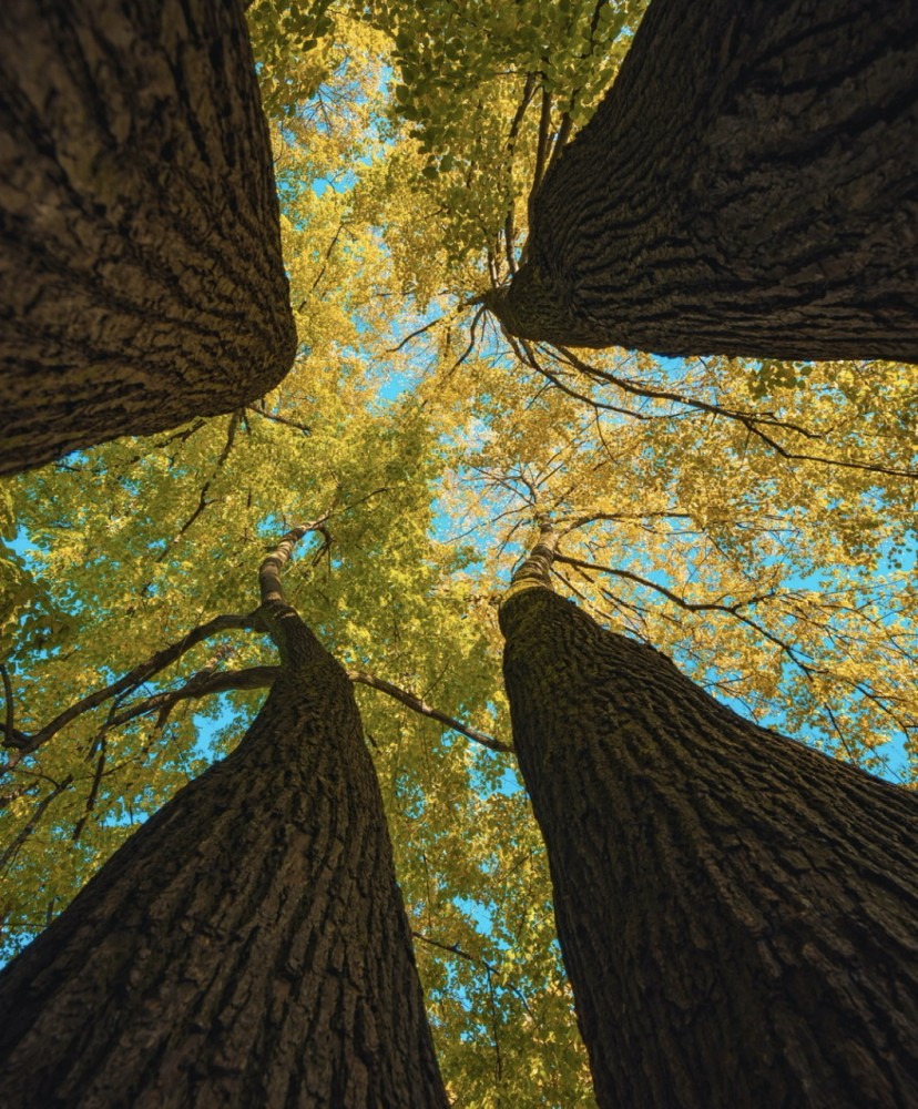 【お子様への話し方】