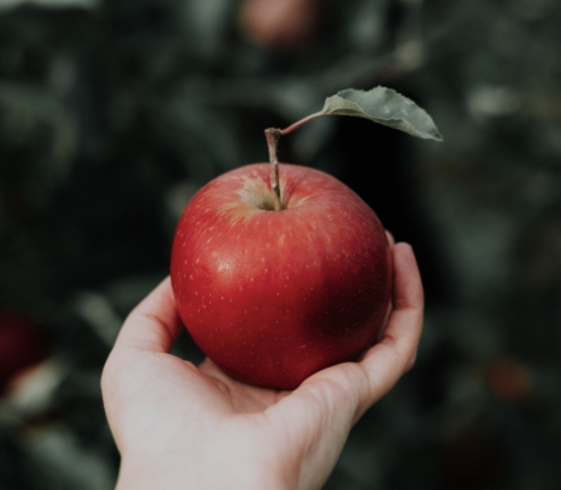 ペスト禍の学生【サー=アイザック=ニュートン】