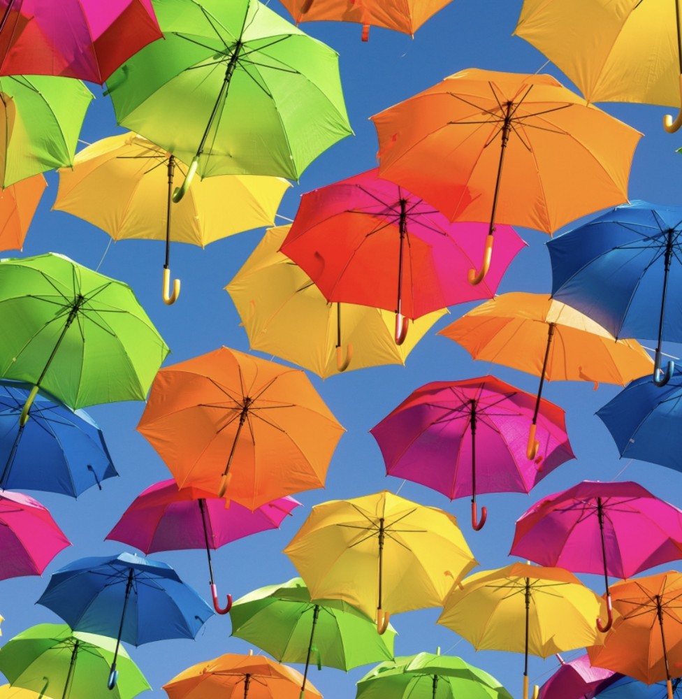 【夢を見る力は人生を変える】