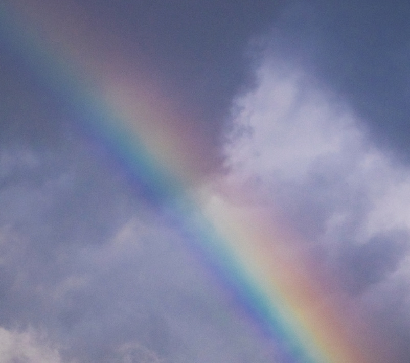 【夢を見る力は人生を変える】