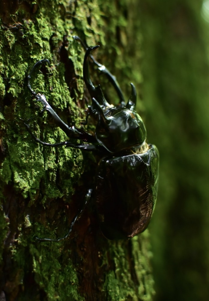 【私が体験した奇跡】