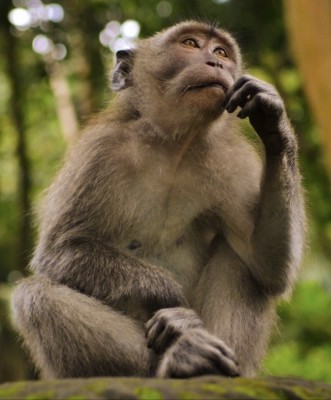 【70号以上のKファイルを回すコツ】