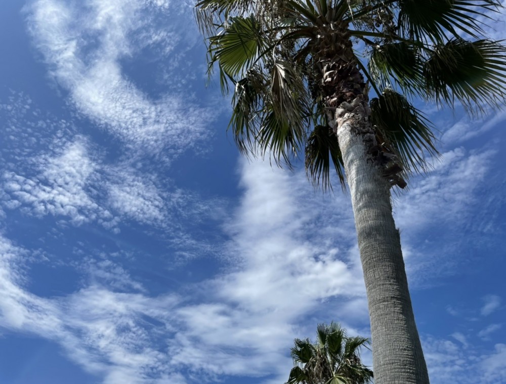 ツーリング【須磨〜朝霧】