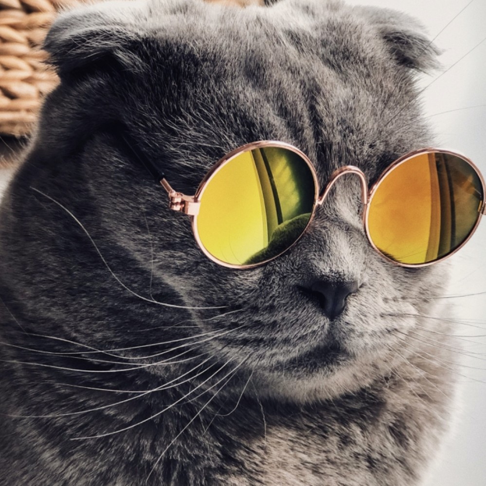 【歯の痛みになぜ抗生物質が効くの？】