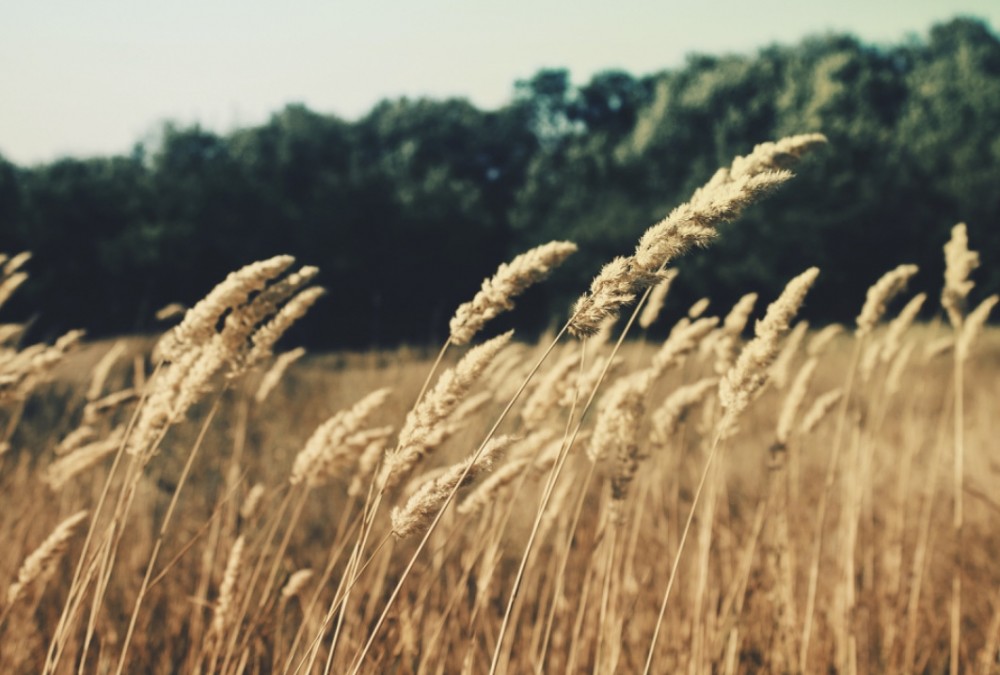 【コスタリカ戦を終えて】