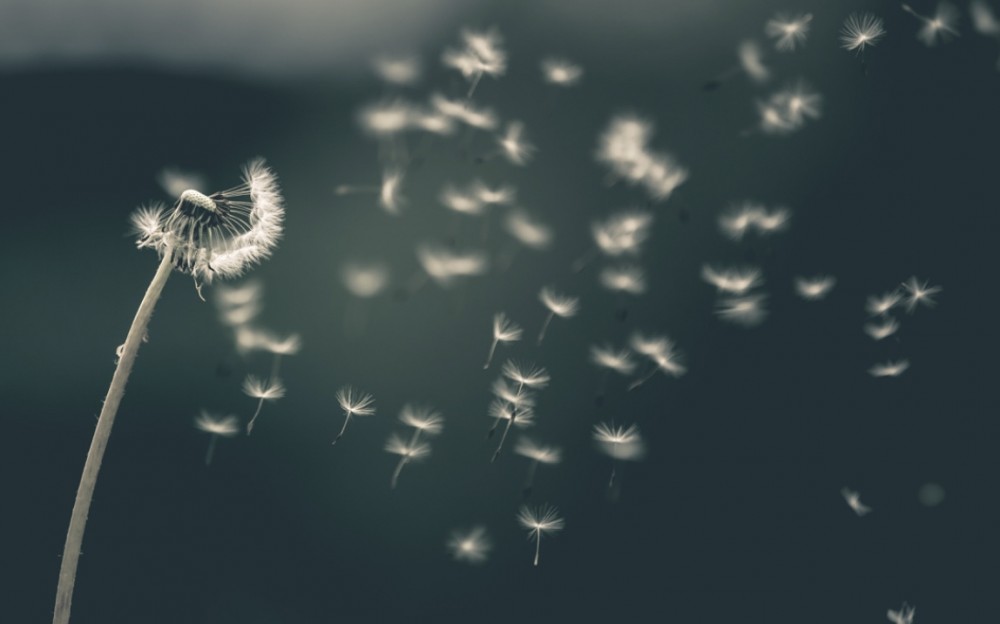 【コスタリカ戦を終えて】