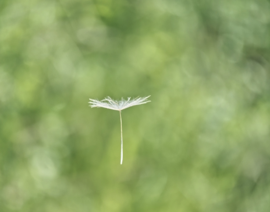 【コスタリカ戦を終えて】