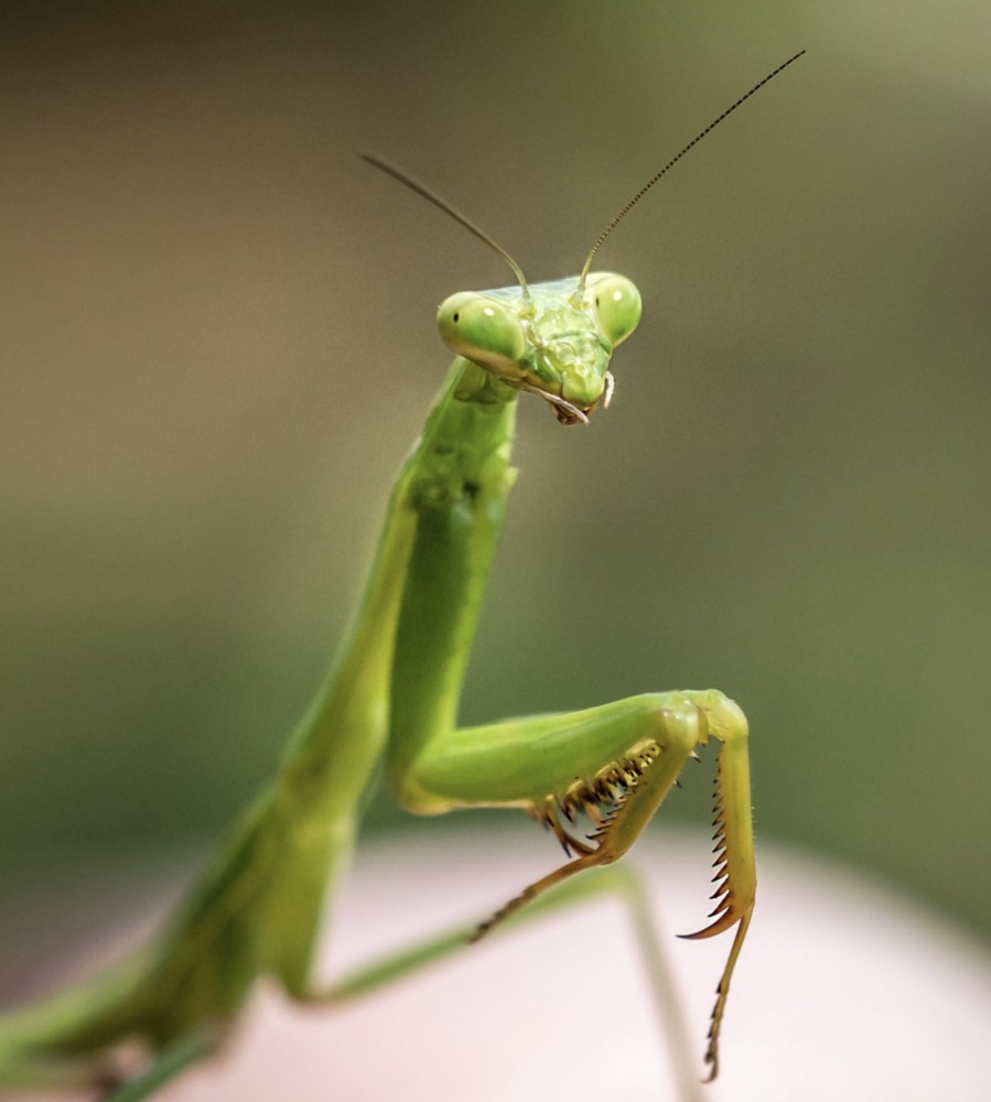 スペイン戦に向けて【W杯】