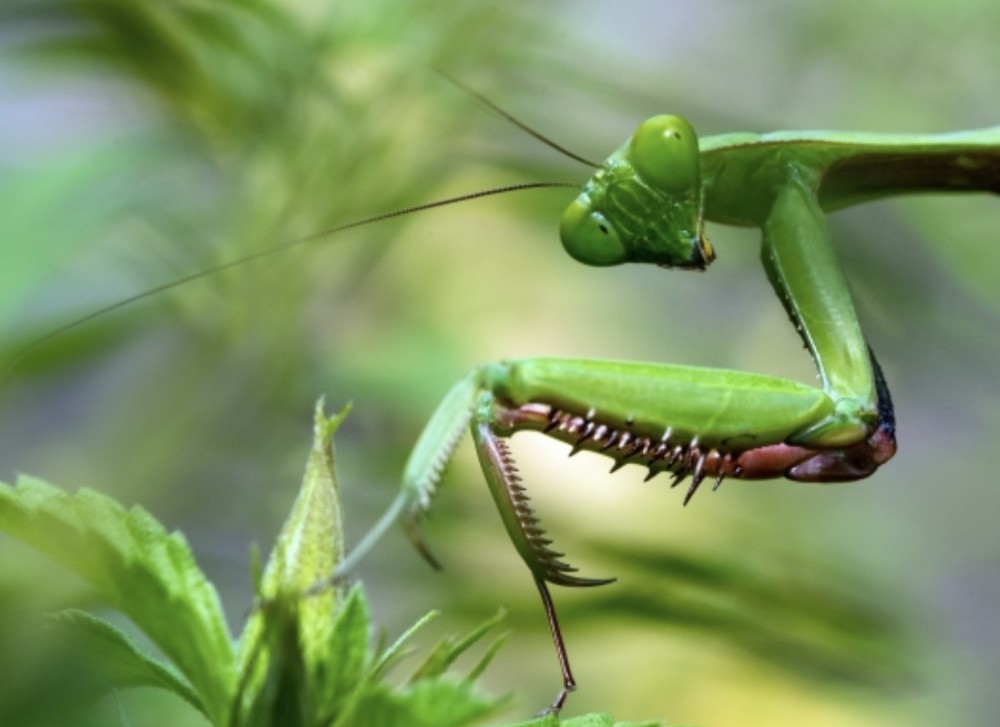 スペイン戦に向けて【W杯】
