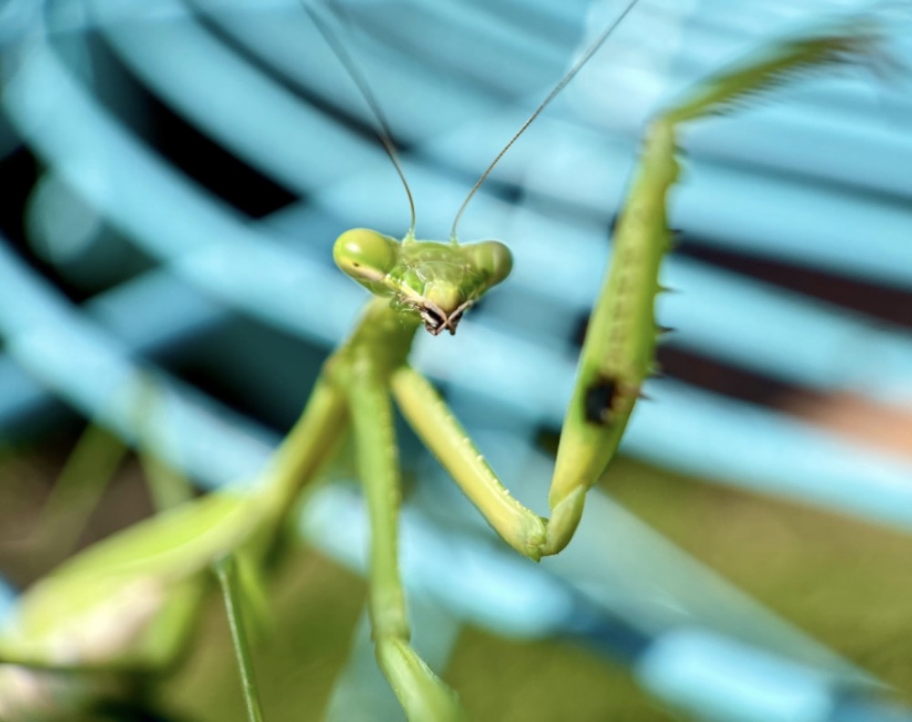 スペイン戦に向けて【W杯】