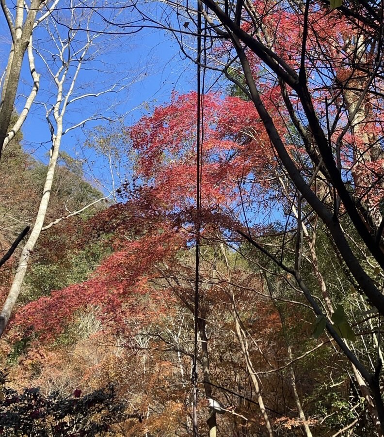 【六甲山ハイキング】