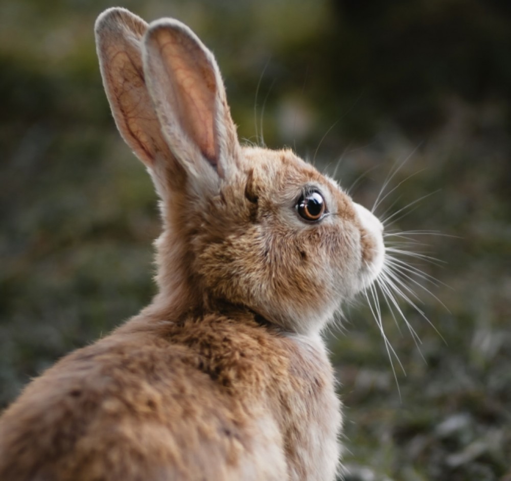 コラム【大丈夫、絶対良くなります。】