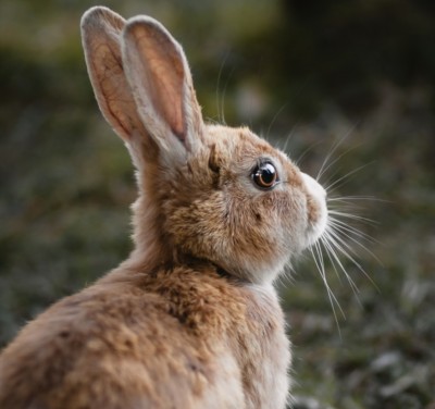 コラム【大丈夫、絶対良くなります。】